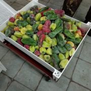 Ящик для заморозки овощей