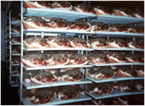 Применение полипропилена в технологии производства продукции мясной и рыбной переработки