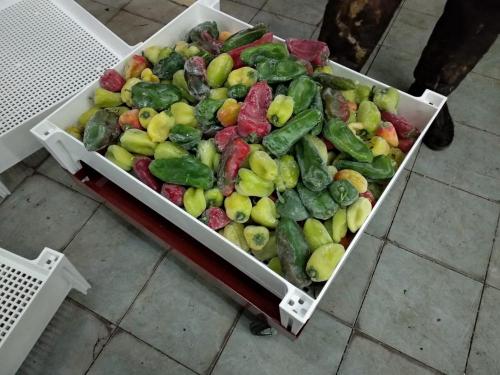 Ящик для заморозки овощей